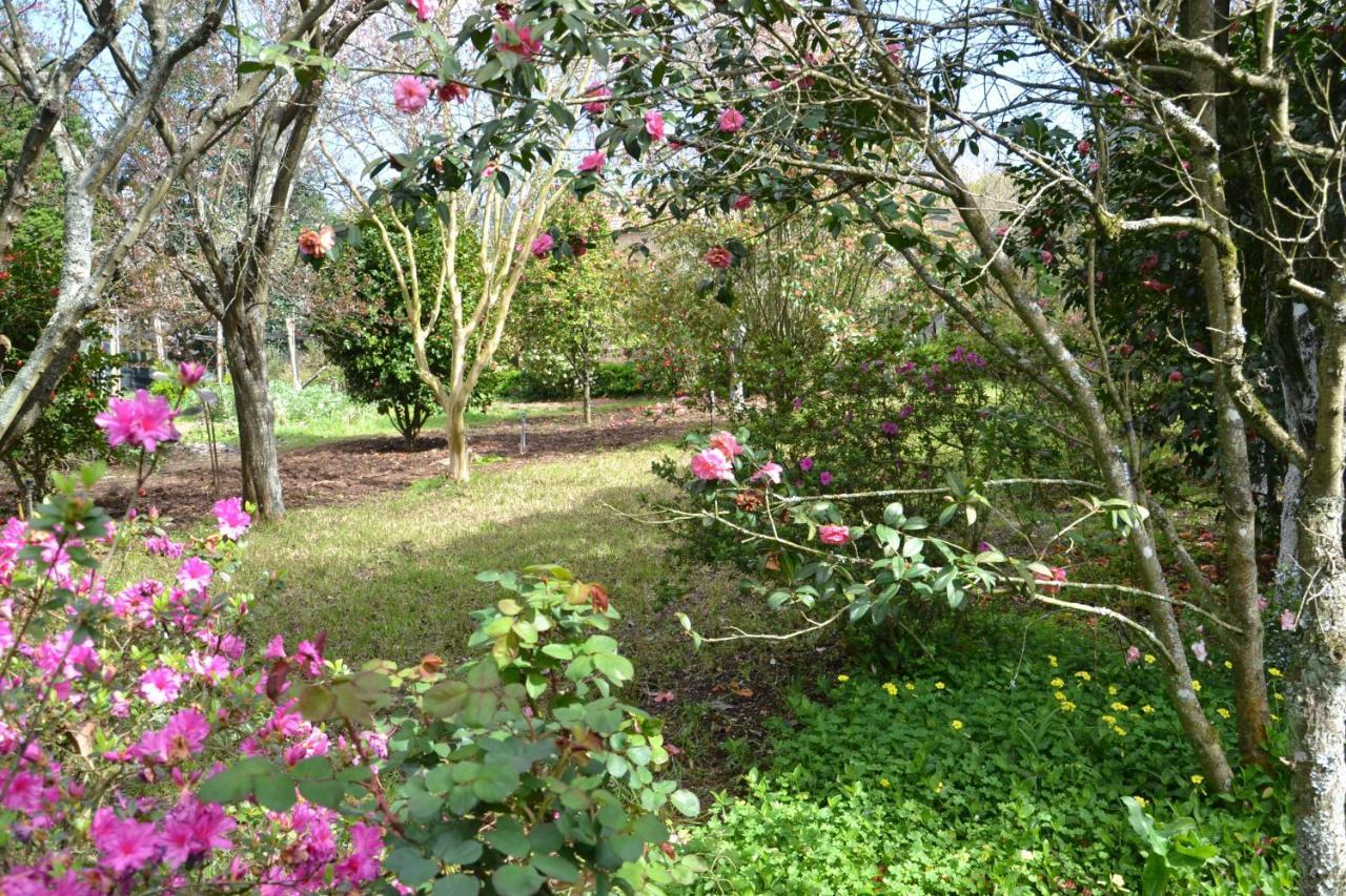 Bed and Breakfast Quinta D'Avo Amelia Alquerubim Exterior foto
