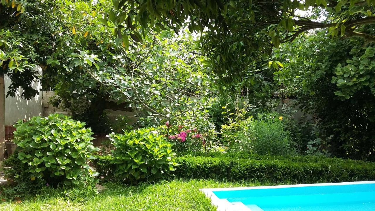 Bed and Breakfast Quinta D'Avo Amelia Alquerubim Exterior foto