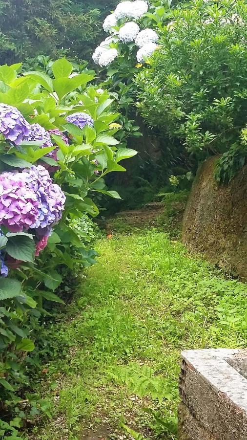 Bed and Breakfast Quinta D'Avo Amelia Alquerubim Exterior foto