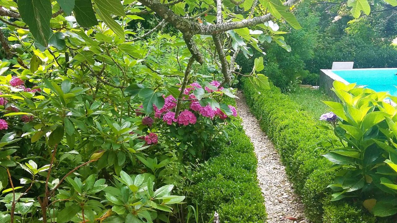 Bed and Breakfast Quinta D'Avo Amelia Alquerubim Exterior foto