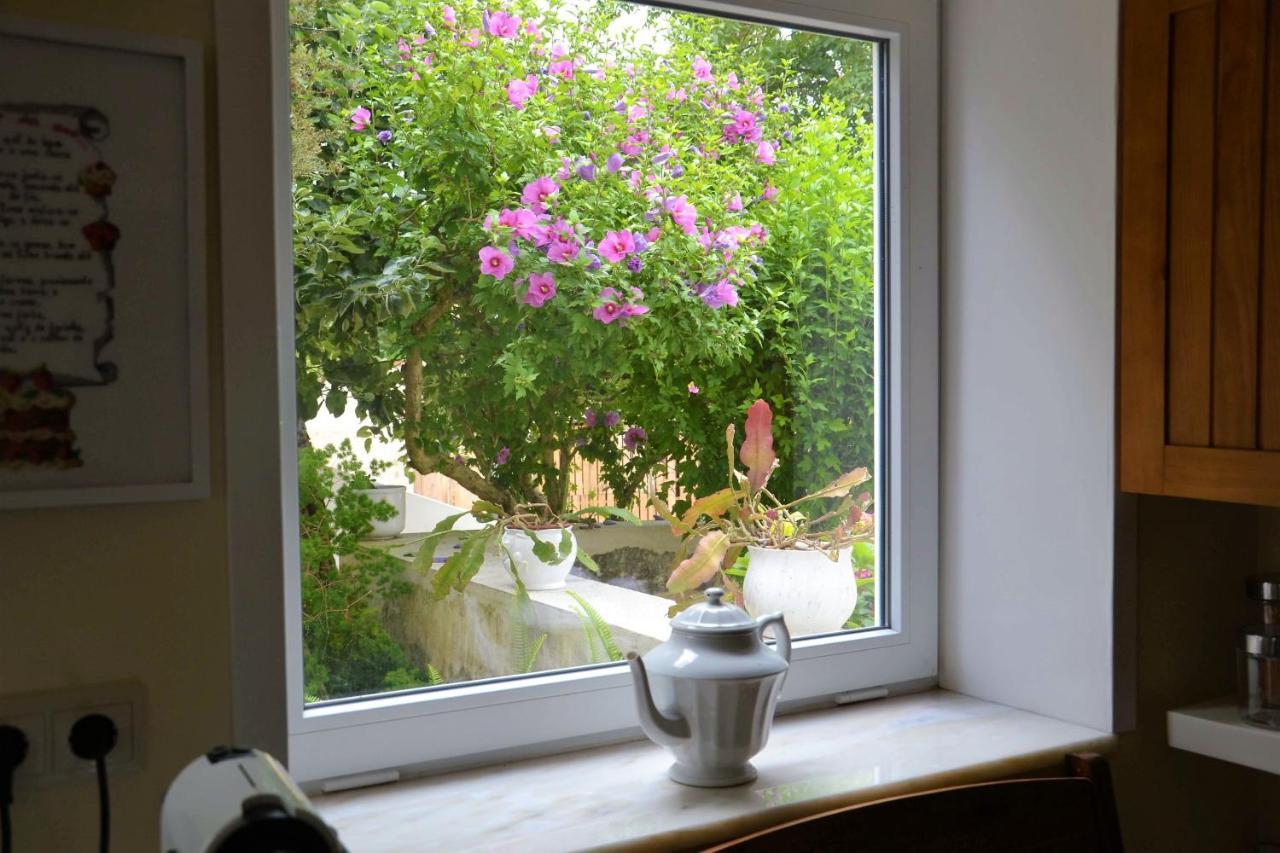 Bed and Breakfast Quinta D'Avo Amelia Alquerubim Exterior foto